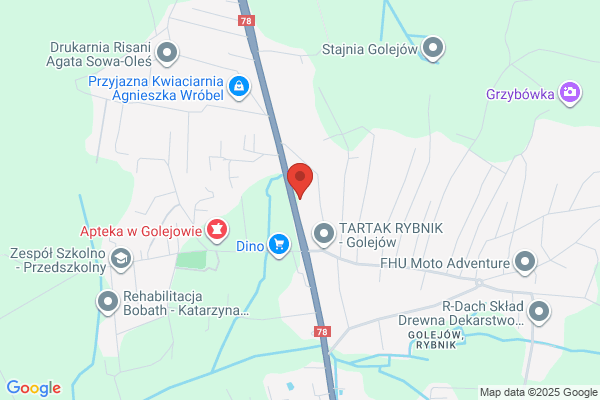 Czogala Jadwiga. Uslugi transportowe