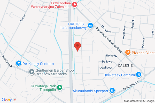 Czyszczenie dywanów i wykladzin