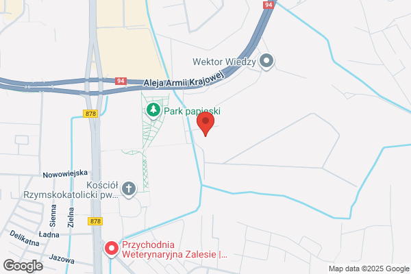 Dziobak Monika. Centrum kominków