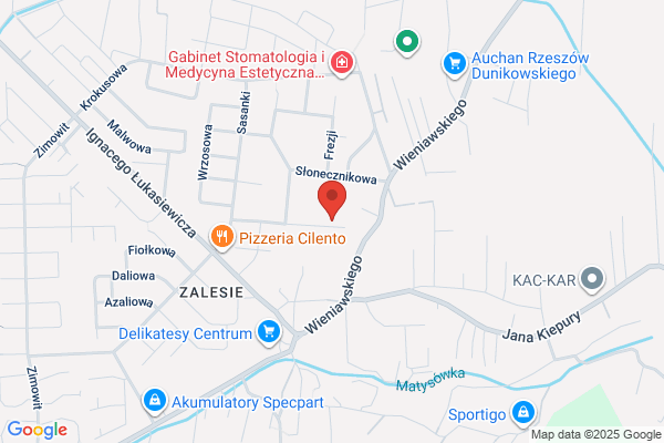 Ferenc Kaziemierz. Sprzedaz kwiatów