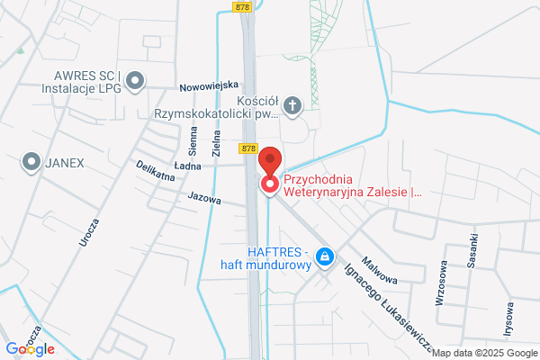Fizjo-Effect Ewa Ortyl-Grzyb Centrum Nowoczesnej Fizjoterapii