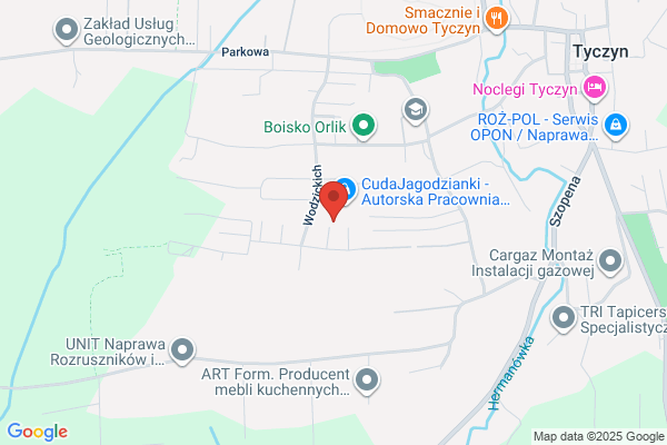 Esox SC. Techniki ochrony srodowiska. Kurzydlo M., Drzal M.