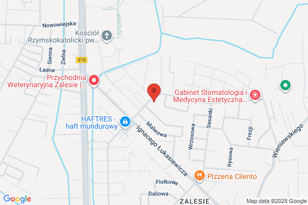 Ostrzychowski Tadeusz. Kancelaria prawa patentowego