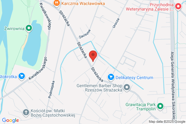 Auto Rys. Zaklad mechaniki pojazdowej