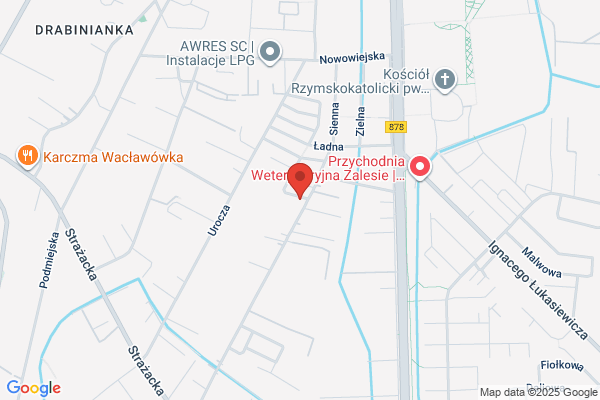 Rzeszowski Net. Rzeszutek