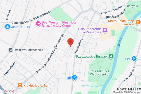 Labrador. Lecznica dla zwierzat