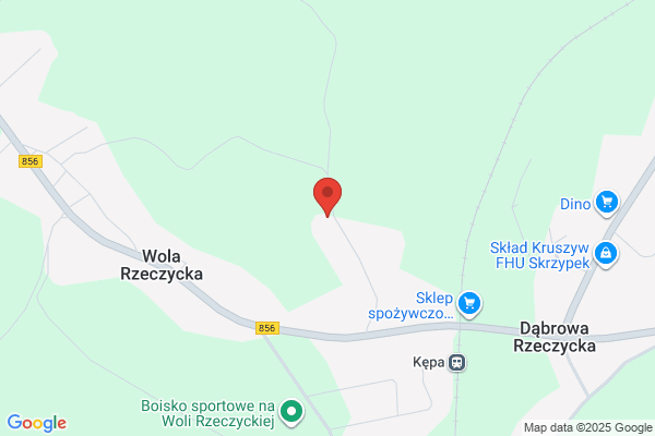 Puzio Aleksander. Zaklad blacharsko - lakierniczy