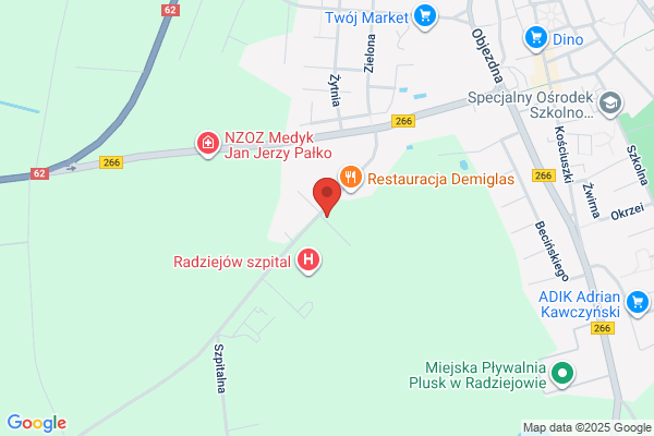 Ledamur