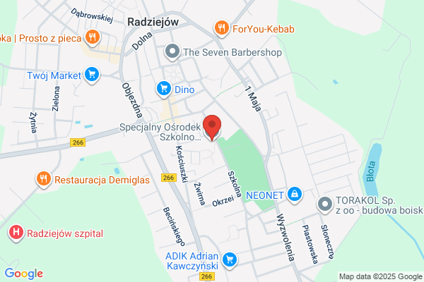 Specjalny Osrodek Szkolno - Wychowawczy