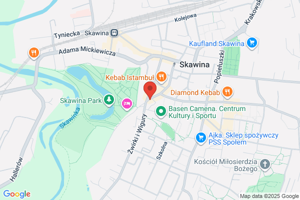 Specjalny Osrodek Szkolno - Wychowawczy