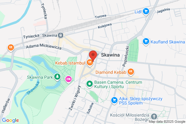 Standard. AGD, sprzet RTV. Slawinska E.