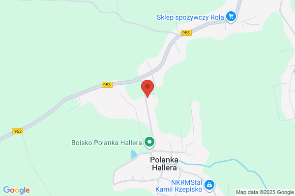 Szkola Podstawowa im. gen. S. Hallera