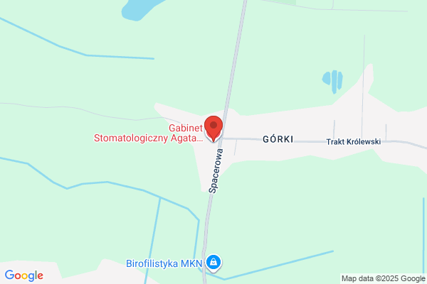 Stepniewska-Pachucy Agata, lek. stomatolog