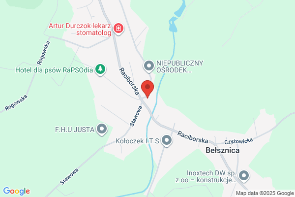 Smyczek Leonard. Doradztwo gospodarcze