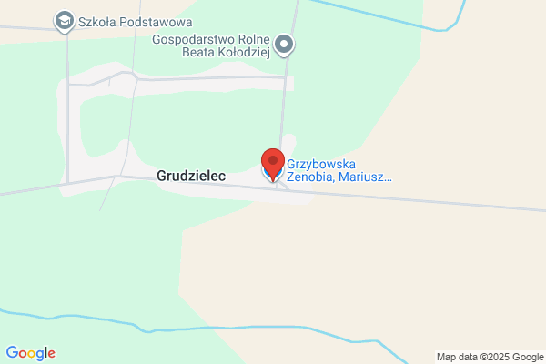 Grzybowska Zenobia i Mariusz. Sklep spozywczy