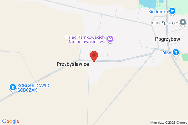 Konieczny Bartosz, lek. wet. Uslugi weterynaryjne