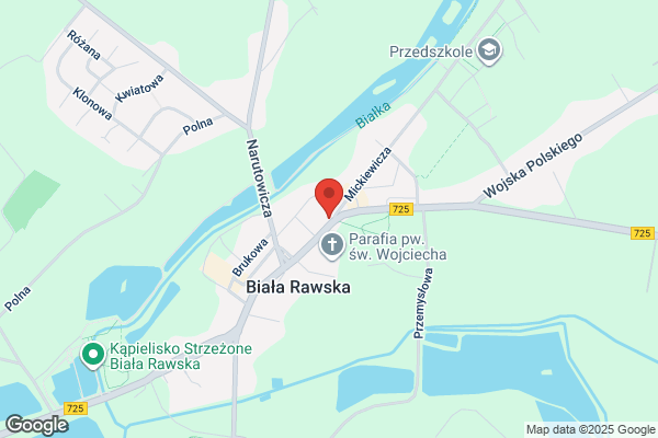 Graphique. Pudzianowski I.