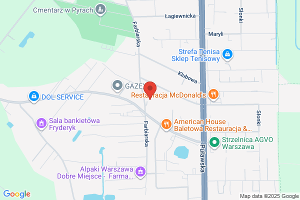Diesel Service Garazowa. Regeneracja pomp wtryskowych