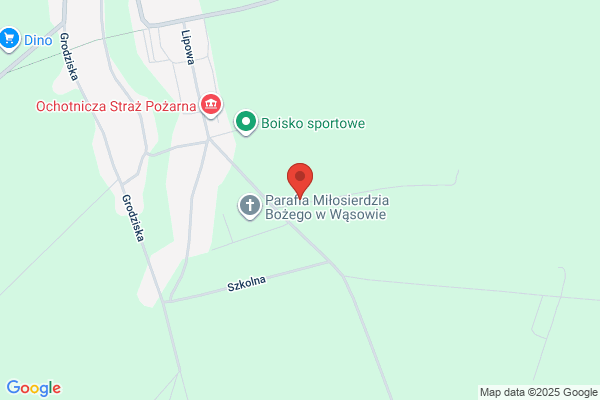Azalia. Projektowanie, zakladanie i pielegnacja ogrodów. Rusek W., inz. ogrodnik
