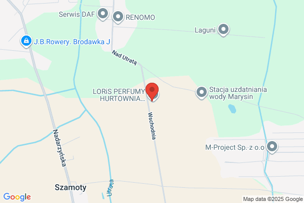 Master-Pol. Dariusz Czeredys. Spedycja lotnicza, drogowa i morska