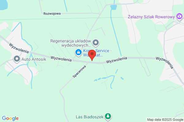 Rys Jerzy. Transport ciezarowy