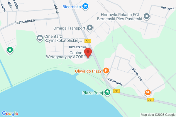 Azor. Lecznica dla zwierzat. Tomaszewska W.