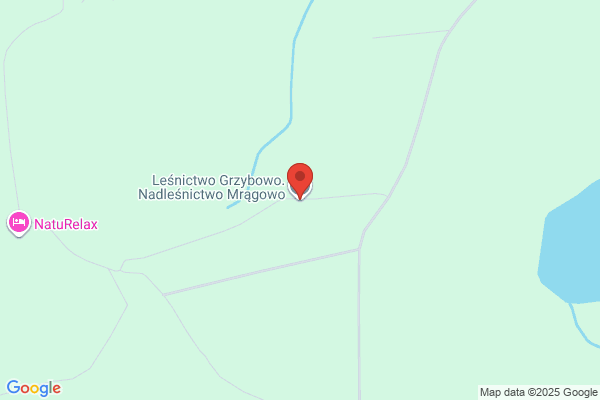 Lesnictwo Grzybowo. Nadlesnictwo Mragowo