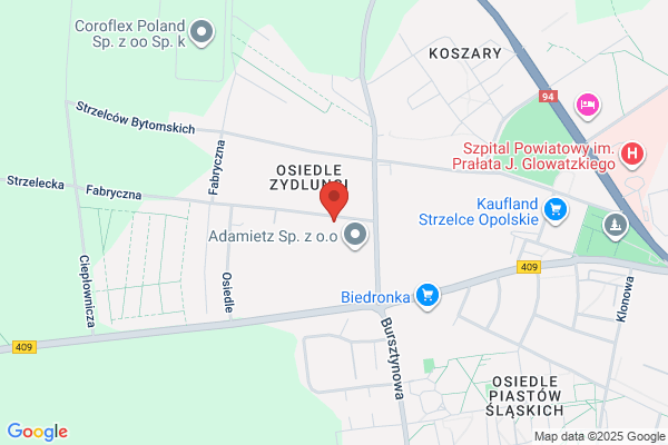 Astra SC. Zespól muzyczny