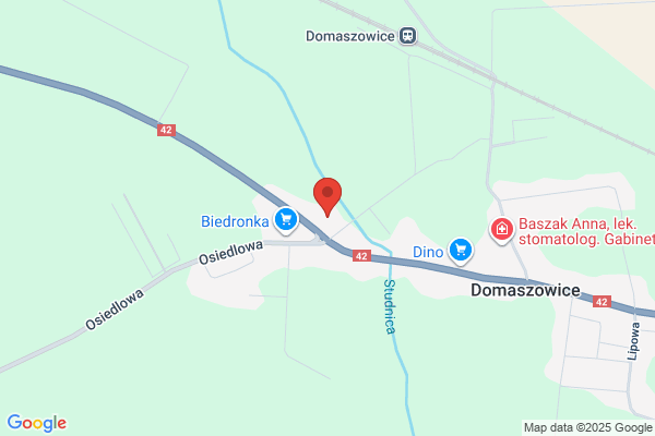 Borek Antoni. Miedzynarodowy transport samochodowy