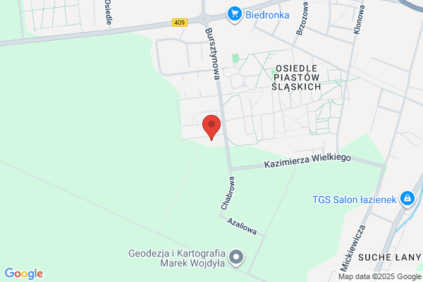 E-Biuroprawne. Bajorek-Ziaja H.