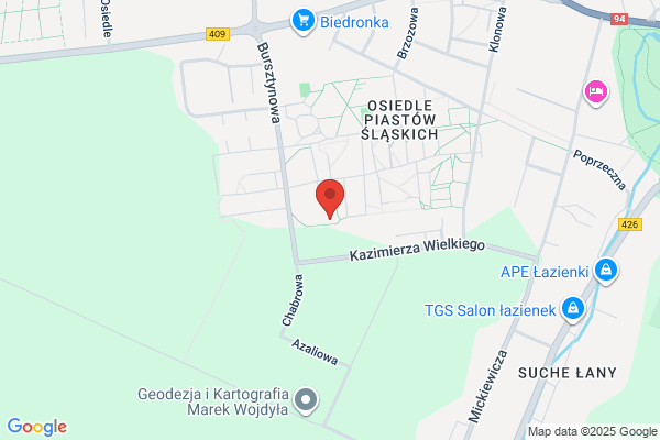 Majewski Michal, mgr. Tlumaczenia