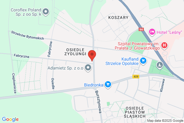 Ryczel Krzysztof. Warsztat mechaniki pojazdowej