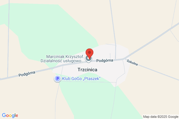 Boczek Bogdan. Uslugi transportowe