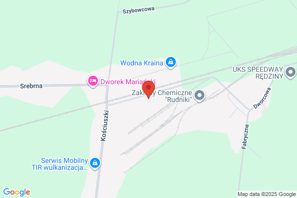 Kosinski Andrzej. Przetwórstwo miesa