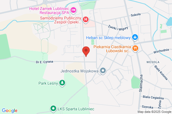 Multitech. Serwis kotlów gazowych i olejowych