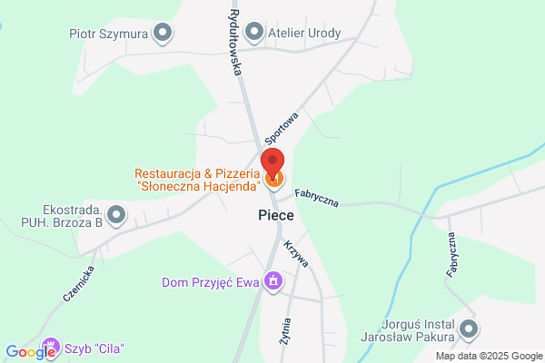Platan. Centrum ogrodnicze. Grudzinski J.