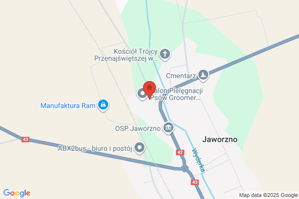 Szkola Podstawowa im. M. Kopernika