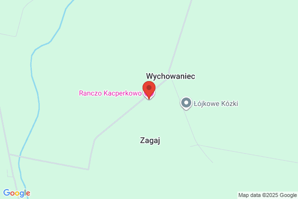 Wychowaniec B. Ksiegarnia