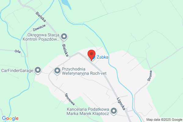 Kogucik. Bar