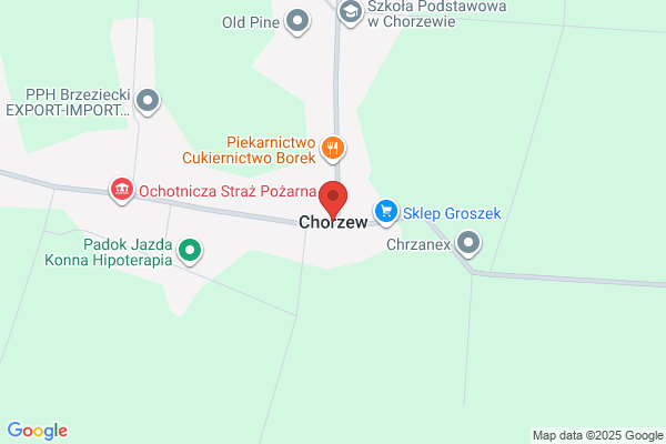 Gorgosz Bernard. Naprawa pralek automatycznych