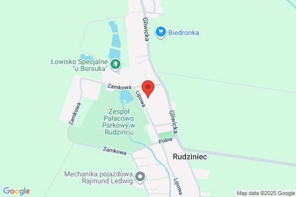 APP. Uslugi projektowe. Zegartowski E.