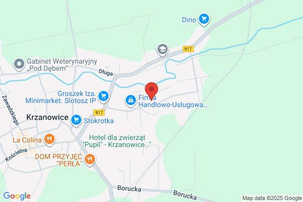 Kamko SC. Kolinski S., Kolinski A., Kaminska J., Kolinski D.