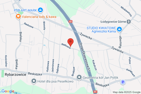 Dobija Tadeusz. Wyrób spodów do obuwia
