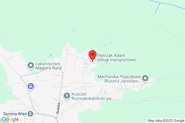 Witkowski Adam. Uslugi transportowe