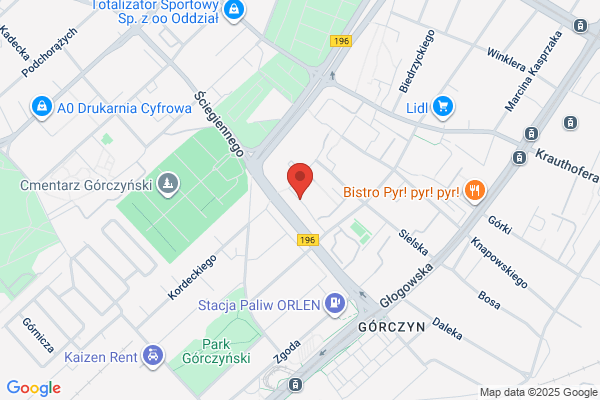 Cyner Anna. Posrednictwo finansowe