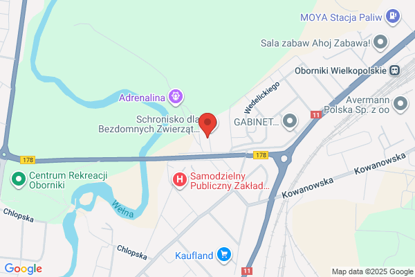 Kozinski Janusz. Uslugi sanitarno - weterynaryjne