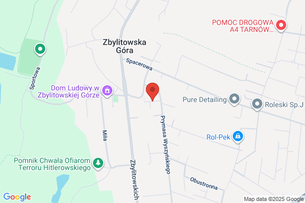 Wozniak Elzbieta. Zaklad produkcji elementów drogowych