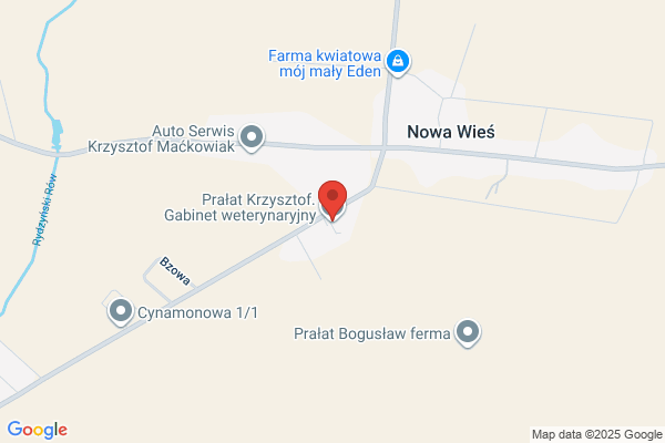 Pralat Krzysztof. Gabinet weterynaryjny
