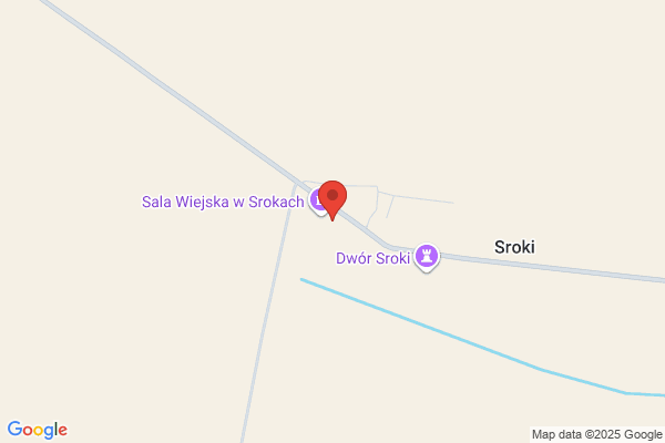 Skrzypczak Jan. Mechanika pojazdowa