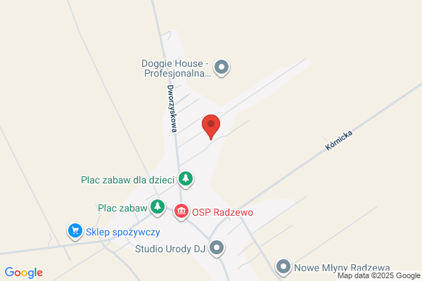 Wolcyrz Piotr. Badanie podloza gruntowego w budownictwie